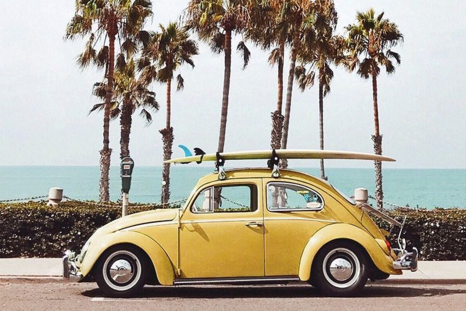 summertime