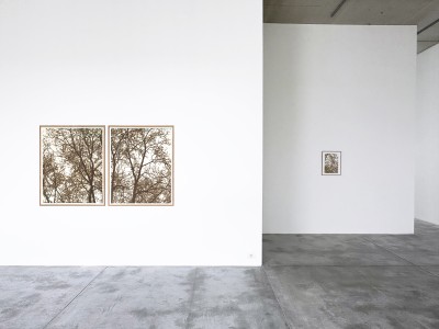 Olivier Kosta-Théfaine 'PAYSAGES DE BANLIEUE' ; Burned paper - 2025