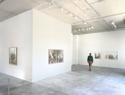 Olivier Kosta-Théfaine 'PAYSAGES DE BANLIEUE' ; Burned paper - 2025