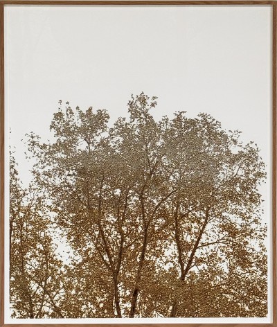 Olivier Kosta-Théfaine - PAYSAGE DE BANLIEUE (#3) ; Burned paper - 107 x 126.5 cm - 2025