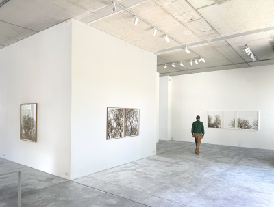 Olivier Kosta-Théfaine 'PAYSAGES DE BANLIEUE' ; Burned paper - 2025