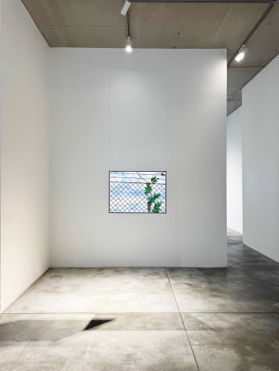 Philémon Siesling - DES LOSANGES ; Exhibition View