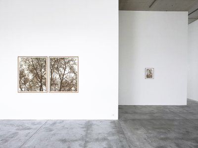 Olivier Kosta-Théfaine 'PAYSAGES DE BANLIEUE' ; Burned paper - 2025