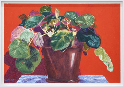 Gwendal Lebec - UNTITLED (Plante grasse) - Oil pastel - 116 x 81 Cm - 2020