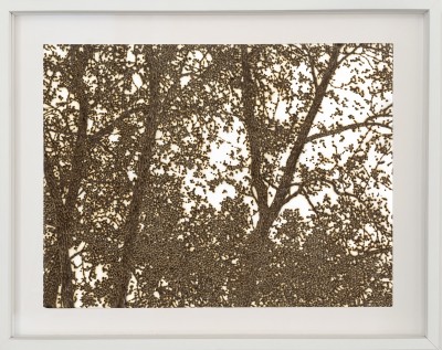 Olivier Kosta-Théfaine 'PAYSAGE DE BANLIEUE E' ; Burned paper - 40 x 50 cm - 2025