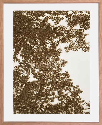 Olivier Kosta-Théfaine 'PAYSAGE DE BANLIEUE K' ; Burned paper - 50 x 40 cm - 2024