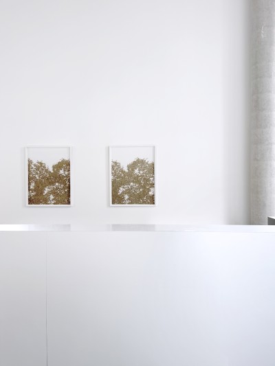 Olivier Kosta-Théfaine 'PAYSAGES DE BANLIEUE' ; Burned paper - 2025